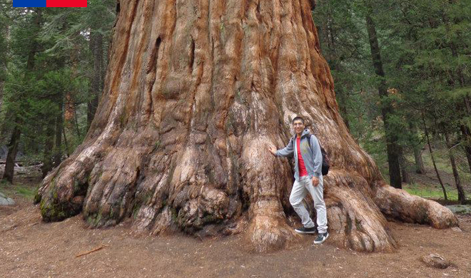 juan-oyarzo-alvarado